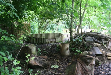 Forest Schools