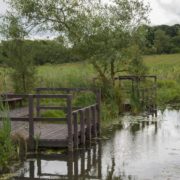 dipping pond platform