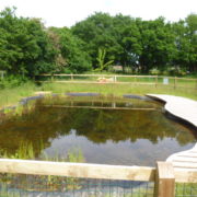 dipping pond and platform